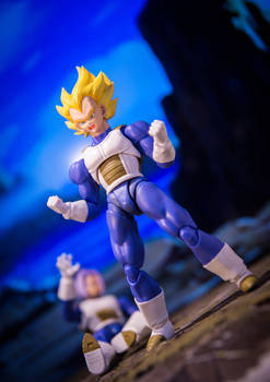 Vegeta's Rage.