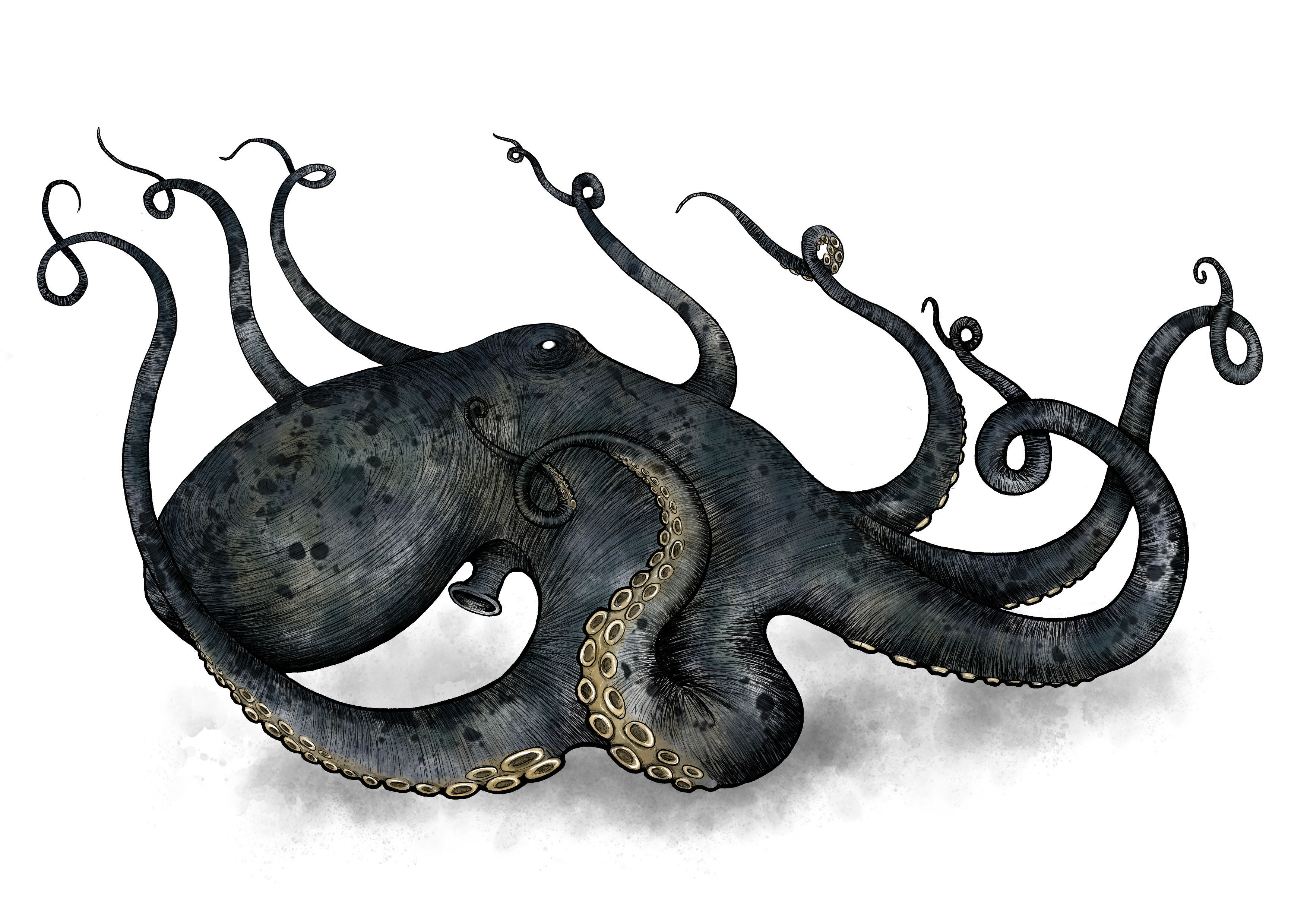 Hafgufa by Reeezi on DeviantArt