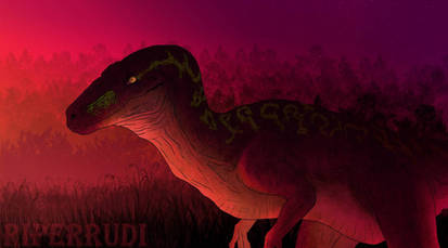 Sunset Raptor Explore the Best Raptor Art | DeviantArt