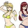 Fairy Tail Lucy And Erza Swimsuit