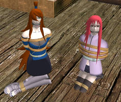 (Req) Mei and Karin Grounded