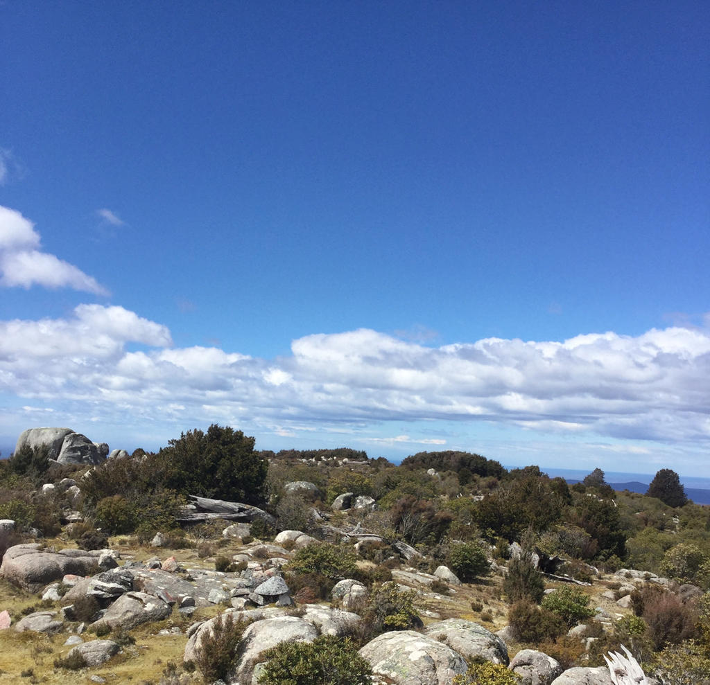 Tasmanian Blue Tiers - Unnamed Peak