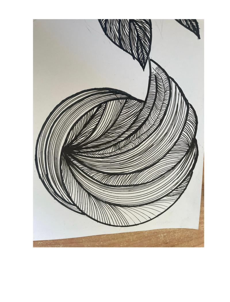Direct Ink Line Drawings Line art ink by juliasalomonson on DeviantArt