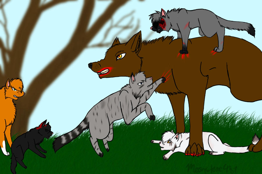 Warrior Cats Blizzardclan Dog Attack By Moonstone487 On.