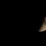 The Moon 1-22-2010