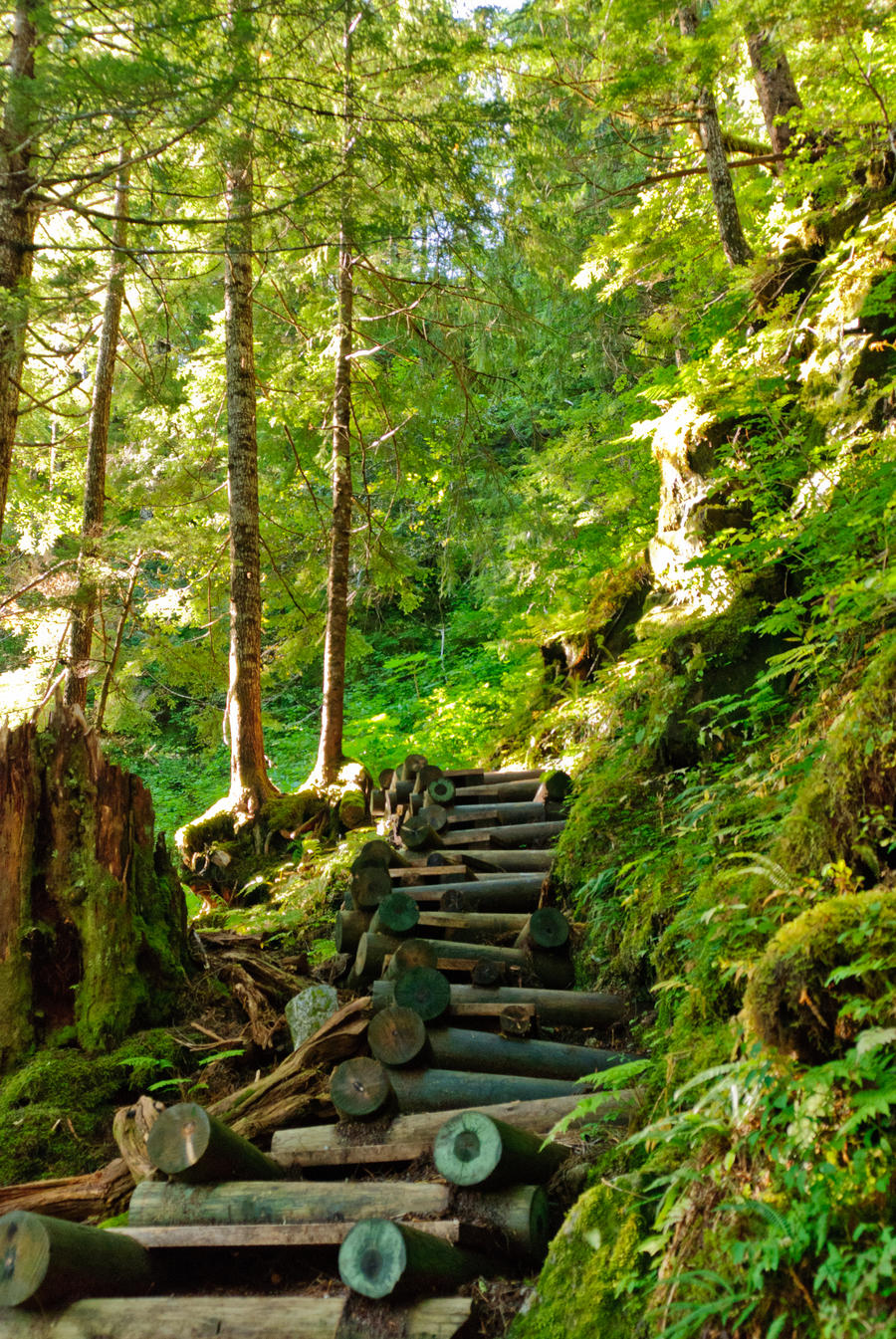 Trail to Upper Silvas Lake