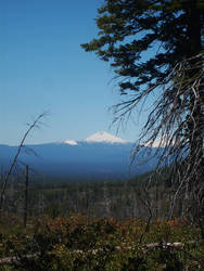 Oregon Scenery