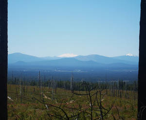 Oregon Scenery2