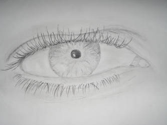 Eye