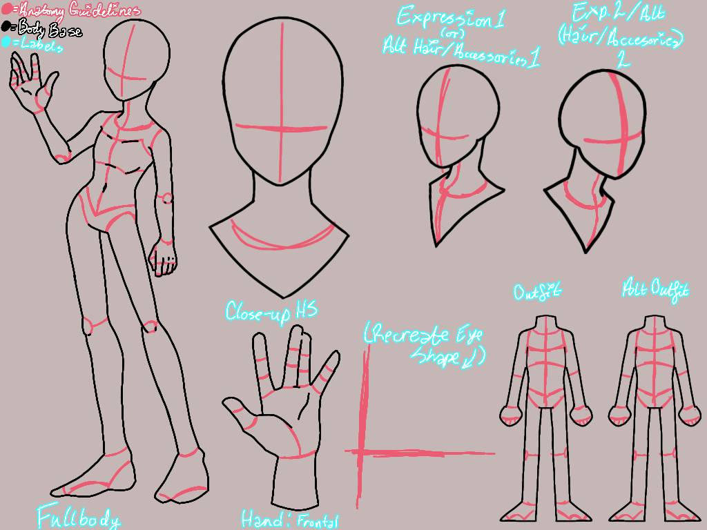 Lean Body Base Reference Ref Sheet Base w/ Anatomy Lines by AKAMintYT on DeviantArt