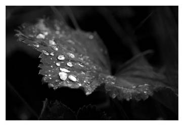 Droplets