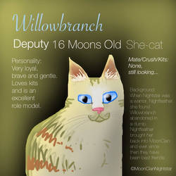 Willowbranch's Profile