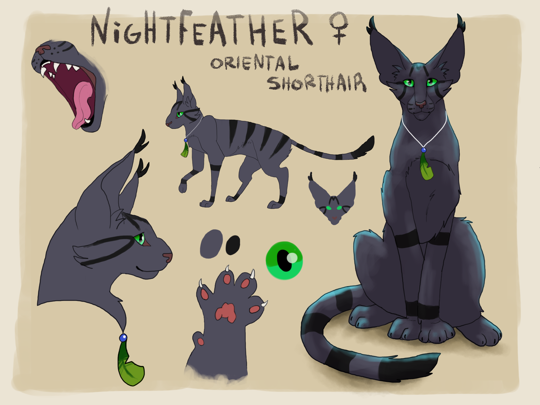 *old* Nightfeather Reference | 2016