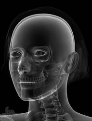 X-Ray Female (Head)