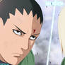 SHIKAMARU Y INO (manga 613)