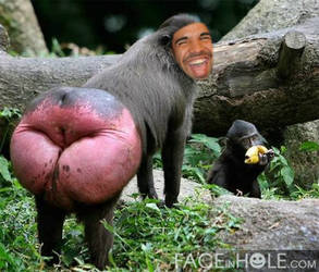 Drake in a twerking Baboon