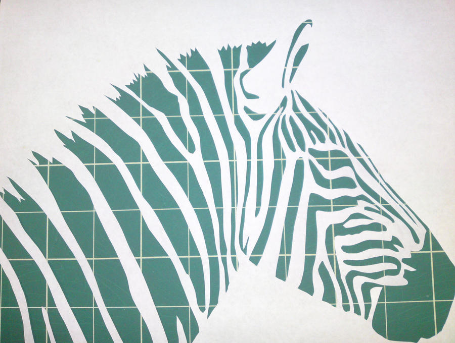 zebra