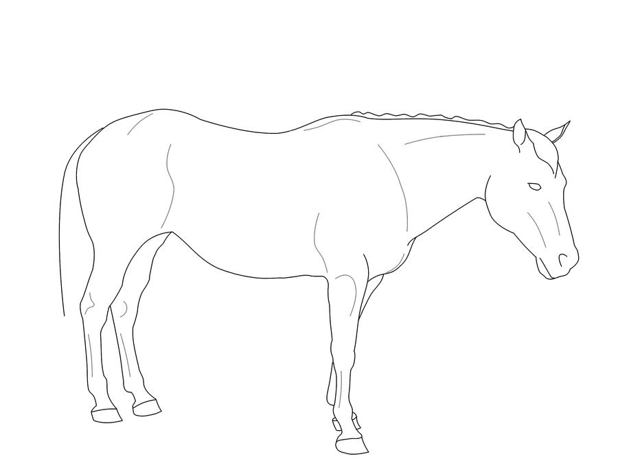 Standing Horse Line Art by Exotic011 on DeviantArt