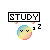 Study