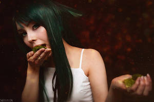 Saya no uta - Feed