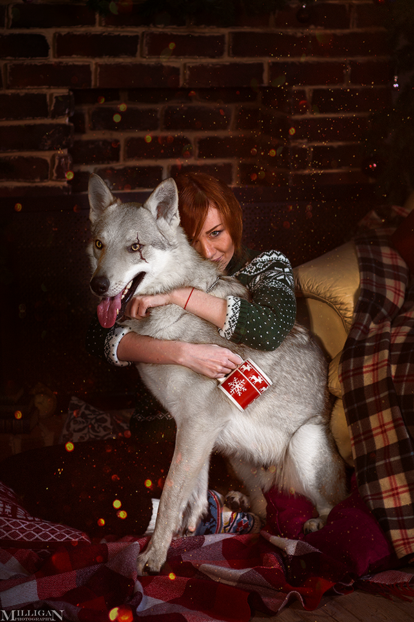 The Witcher - New Year - Shani and The White Wolf