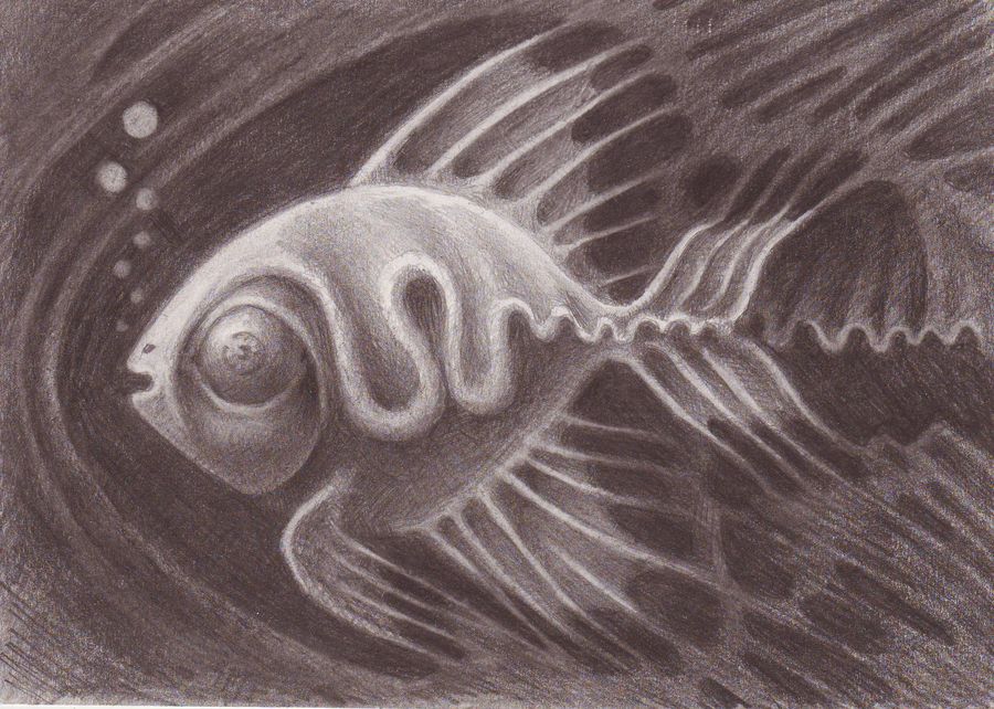 Fish 002