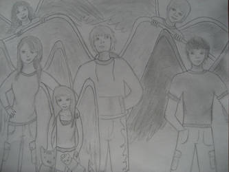 Maximum Ride-The Flock