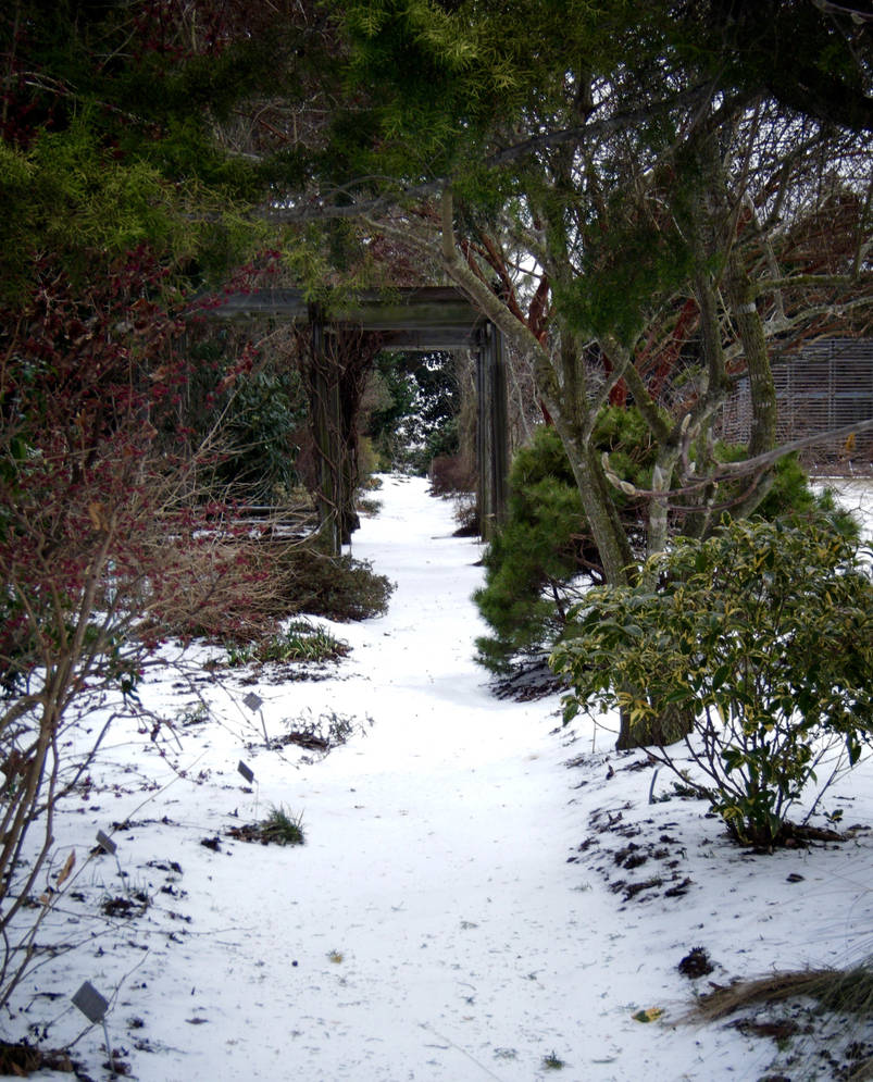 White Path Pattern White Path by Charlotte-Nikki on DeviantArt
