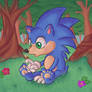 Baby sonic