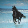 Black horse