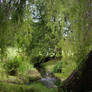 River Willow Tree Scene 02