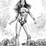 Mike Mayhew WONDER WOMAN Commission