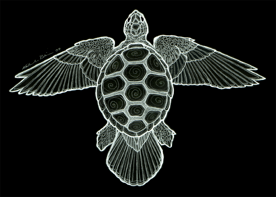 Flight of the Sea Turtle