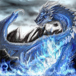 Sapphire Dragon