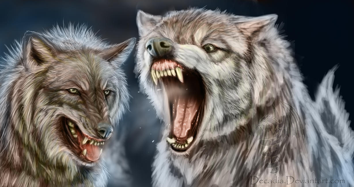 Mad Wolf