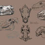 Animal Skulls Set
