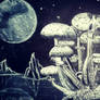 mushrooms under the moon 