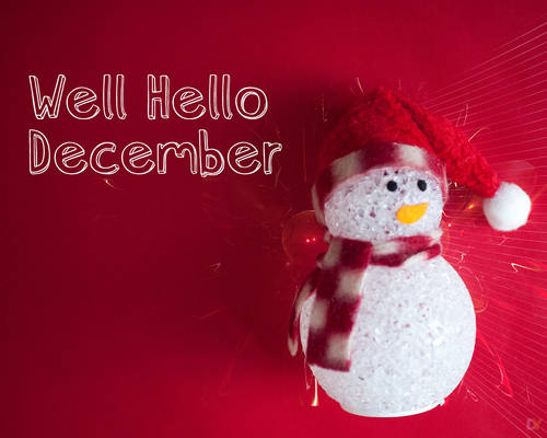 Well Hello December