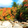 Swift River in October