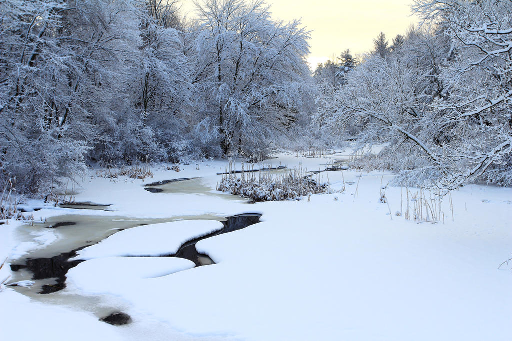 Stock Winter Stream