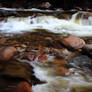 Rocks in the Stream