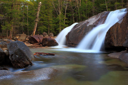 Green Forest Pool