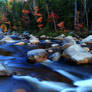 Swift River flows into Autumn