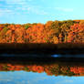 Reflecting Marsh