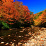 Stock: Mountain River in Autumn