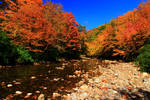 Stock: Mountain River in Autumn by Celem