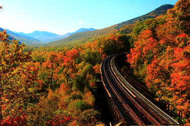 Stock: Railway through the Trees by Celem