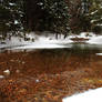 Stock: Winter Pond