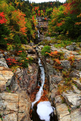 Stock: Silver Stream in Autumn