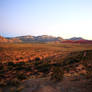 Stock: Sunrise on the Desert Plains